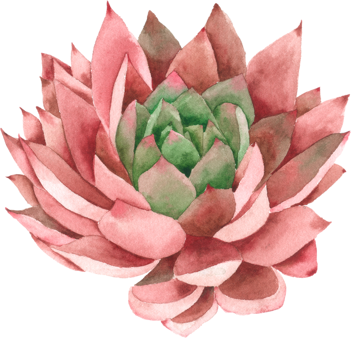 Watercolor Cactus Plant